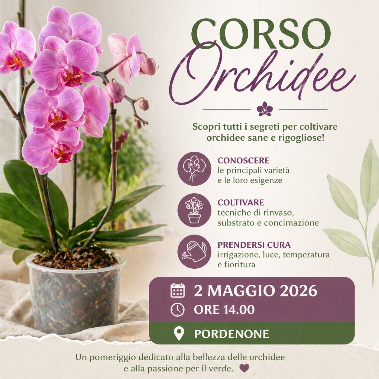 Evento CORSO ORCHIDEE – Cura e Coltivazione Mariano Locandina CORSO ORCHIDEE – Cura e Coltivazione Mariano - sabato 9 maggio ore 14:00 - 16:00