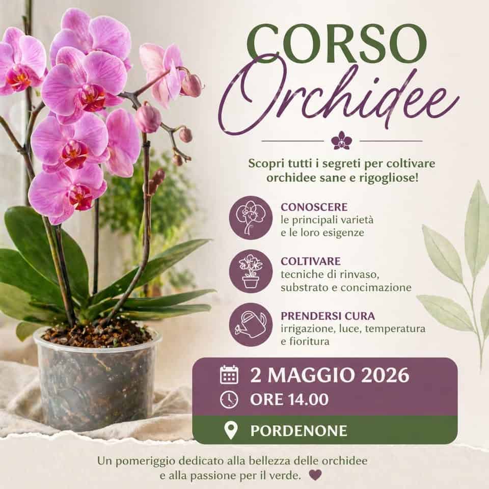 Evento CORSO ORCHIDEE – Cura e Coltivazione Locandina CORSO ORCHIDEE – Cura e Coltivazione - sabato 2 maggio ore 14:00 - 16:00