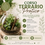CORSO PRATICO Pordenone: IL TERRARIO Potrebbe essere un'immagine raffigurante il seguente testo "ੴচ Creai tuo piccolo giardino in porta la natura nella tua casa! CORSO TERRARIO Pratico IMPARA REALIZZARE UN TERRARIO E SCOPRI COME PRENDERTENE CURA NEL TEMPO CONOSCERE le piante adatte, il substrato elementi per terrario equilibrio CREARE realizza tuo terrario passo dopo passo tecniche semplici pratiche PRENDERSI CURA consigli utili per mantenerlo bello e rigoglioso nel tempo تس ::: 30 MAGGIO 2026 ORE 15.00 PORDENONE Un corso creativo rilassante per portare un angolo di natura nella tua vita."