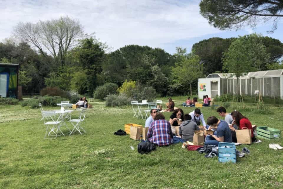 Potrebbe essere un'immagine raffigurante erba