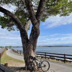 🚴♂️ Dal cuore stellato di Palmanova all’azzurro dell’Adriatico! Dal cuore stellato di Palmanova all’azzurro dell’Adriatico! a Palmanova il 31 maggio 2026