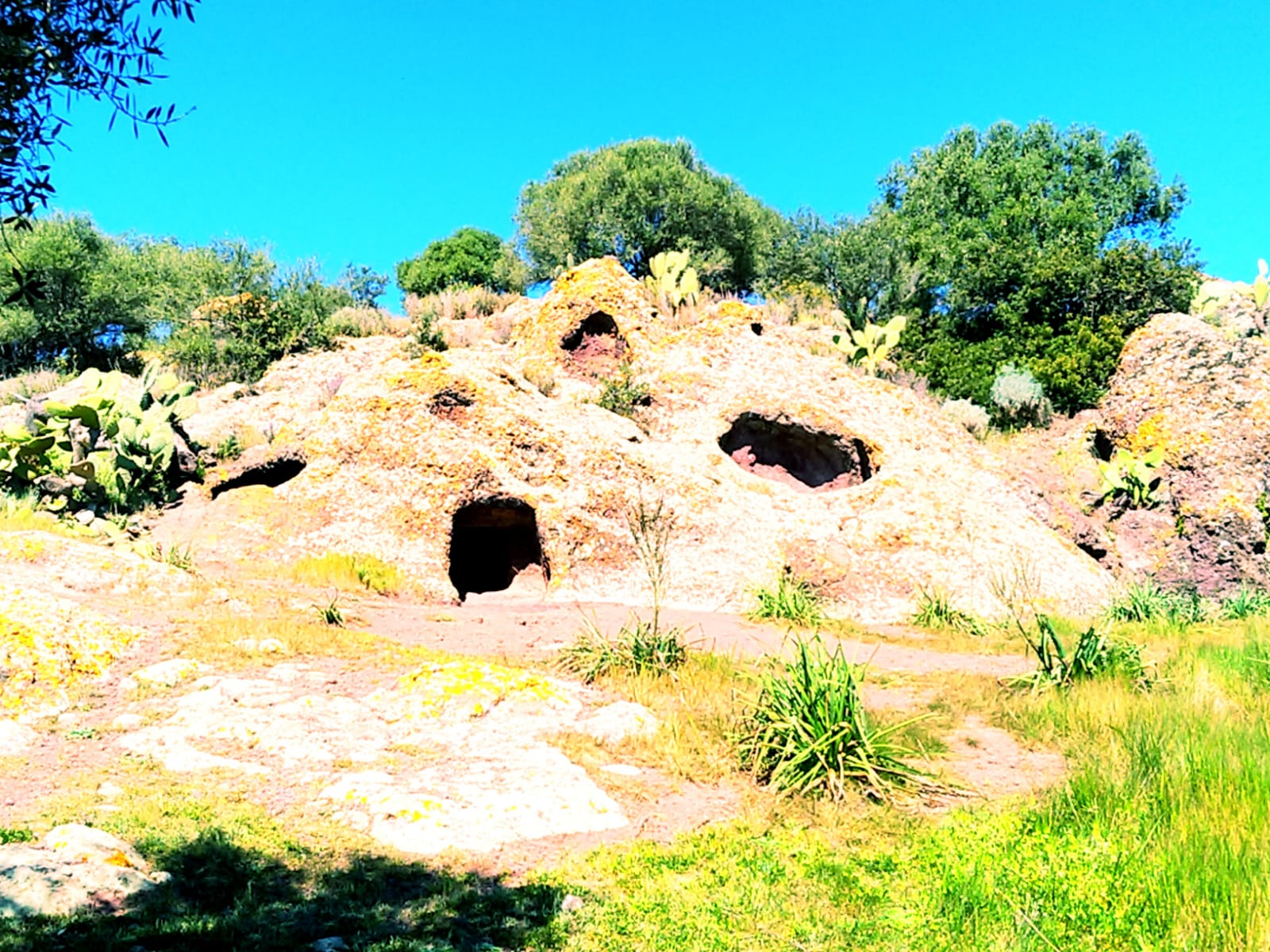 Evento Dalla preistoria al medioevo sul Monte Olladiri di Monastir tra domus de janas e castelli medievali Locandina Dalla preistoria al medioevo sul Monte Olladiri di Monastir tra domus de janas e castelli medievali - venerdì 15 maggio ore 17:45 - 20:00