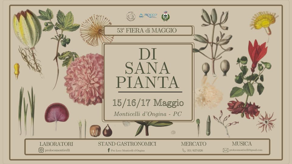 DI SANA PIANTA 53esima fiera di maggio Potrebbe essere un'immagine raffigurante testo