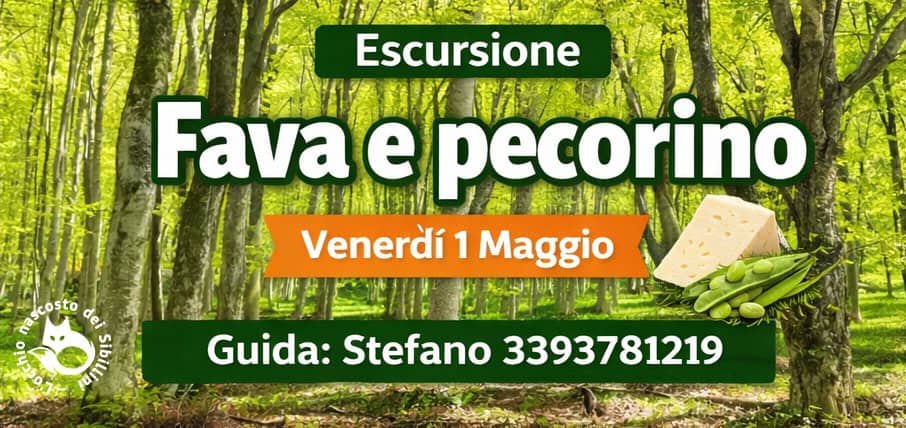 Evento Fave e pecorino Locandina Fave e pecorino - venerdì 1 maggio ore 08:30 - 10:30