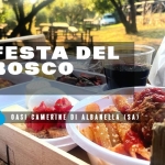 Festa del bosco – Bosco Camerine di Albanella (SA) Potrebbe essere un'immagine raffigurante il seguente testo "Herono Sagre Vili Insieme presenta FESTA DEL BOSCO ( ල OASI DI BOSCO CAMERINE ALBANELLA (SA) Albanella (SA)"