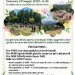 Festa di Primavera Festa di Primavera a Vallinfreda (RM) il 24 maggio 2026