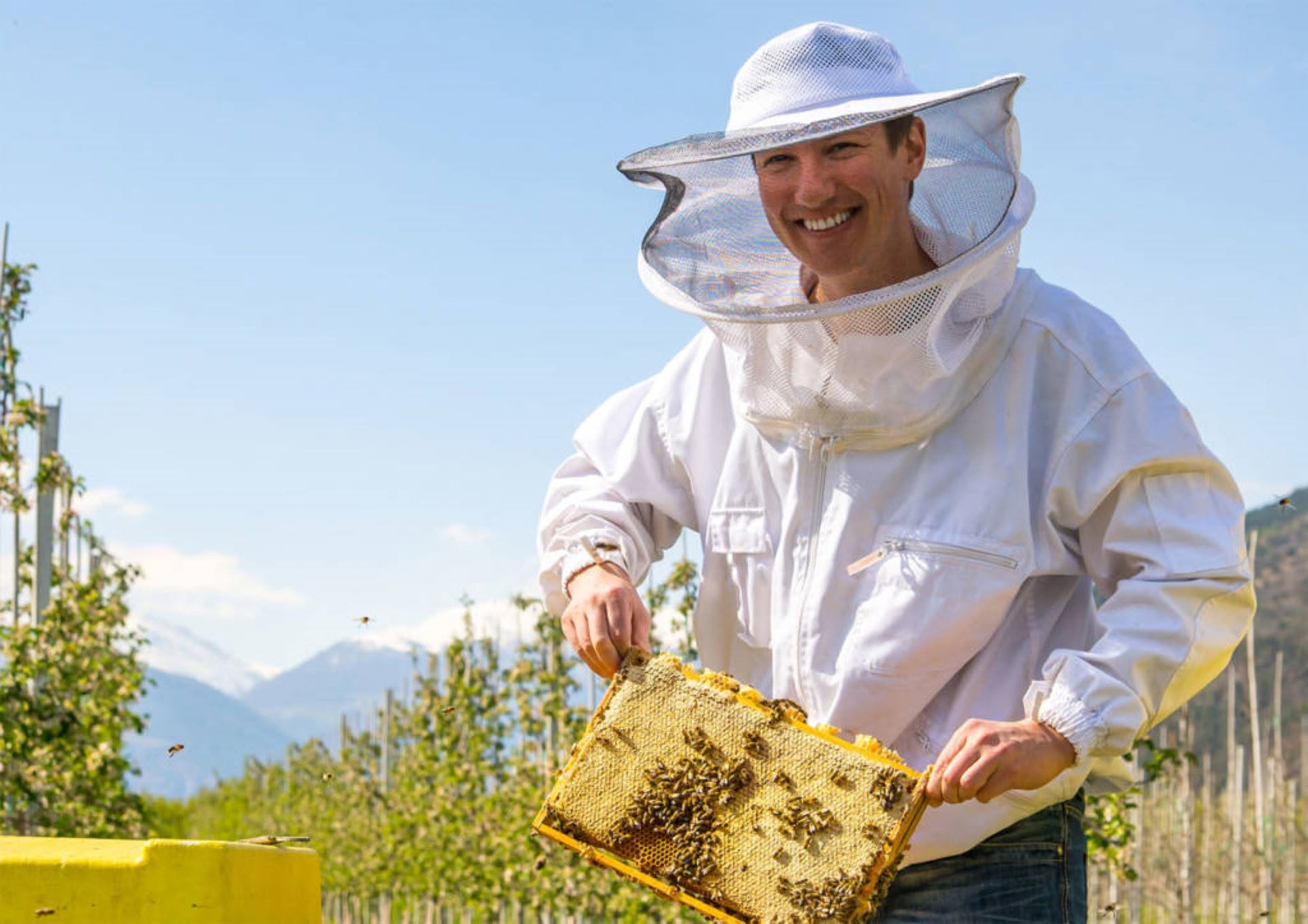 Evento Führung mit dem Imker Bienenmichl Visita guidata con l’apicoltore Bienenmichl Locandina Führung mit dem Imker Bienenmichl Visita guidata con l’apicoltore Bienenmichl - da mercoledì 6 maggio - mercoledì 28 ottobre 2026 ore 16:00 ore 17:30