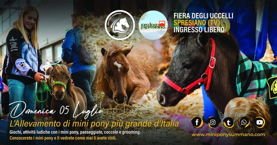 Fiera degli uccelli a Spresiano (TV) 🐴 05 Luglio 🐴 Allevamento Mini Pony Summano 🐴 Potrebbe essere un'immagine raffigurante cavallo e il seguente testo "460 ماسمی សាកាបេសសទ់ SUMMANNO 의유승닭8mo spresidino prok FIERA DEGLI UCCELLI SPRESIANO (TV) INGRESSO LIBERO Dameniea 05 Luglio L'Allevamento di mini ony piu grande d'ltalia Giochi, attività ludiche con mini pony, passeggiate, coccole grooming. Conoscerete mini pony eli vedrete come mai avete visti. f www.miniponysummano.com"