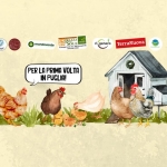 GALLINE FELICI IN PERMACULTURA Potrebbe essere un disegno raffigurante testo