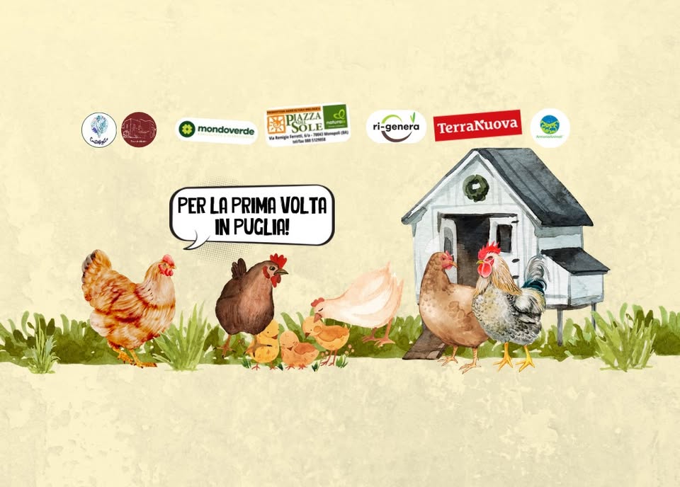 Evento Galline Felici In Permacultura Locandina Galline Felici In Permacultura - da sabato 6 giugno - domenica 7 giugno 2026 ore 10:00 ore 18:00