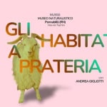 Potrebbe essere un'immagine raffigurante il seguente testo "MUSSS MUSEO NATURALISTICO Pennabillli (RN) Viale dei Tigli 5/a GLI HABITAT A PRATERIA con ANDREA ANDREAGIGLIOTTI GIGLIOTTI"