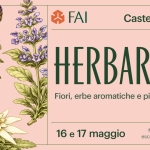 Herbarium: fiori, piante aromatiche ed erbe officinali Potrebbe essere un'immagine raffigurante non ti scordar di me e il seguente testo "FAI FAI Castello di Avio HERBARIUM Fiori, erbe aromatiche e piante officinali 16 e 17 maggio Mostra mercato, escursioni e laboratori"