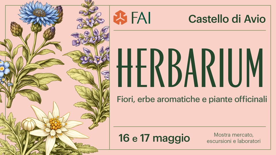 Herbarium: fiori, piante aromatiche ed erbe officinali Potrebbe essere un'immagine raffigurante non ti scordar di me e il seguente testo "FAI FAI Castello di Avio HERBARIUM Fiori, erbe aromatiche e piante officinali 16 e 17 maggio Mostra mercato, escursioni e laboratori"