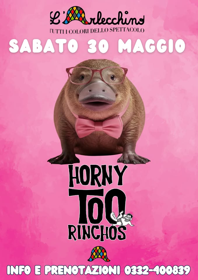 HORNY TOO RINCHOS Potrebbe essere un'immagine raffigurante rinoceronte e il seguente testo "L esrlecchins ΓυΤΤΙ COLORI DELLO SPETTACOLO SABATO 30 MAGGIO HORNY TO0 RINCHOS INFO E PRENOTAZIONI 0332 0332-400839"