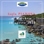 Isola di PIANOSA, sentieri a nord al porto romano Isola di PIANOSA, sentieri a nord al porto romano a Follonica (GR) il 30 agosto 2026