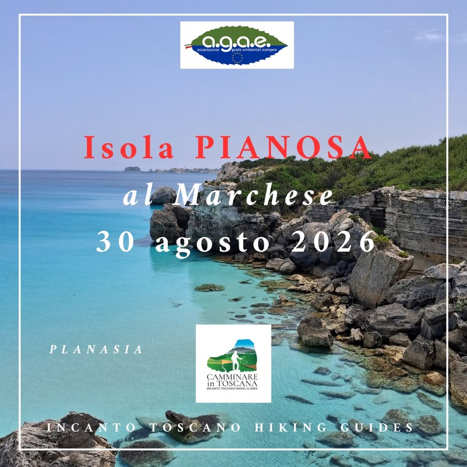 Evento Isola di PIANOSA, sentieri a nord al porto romano Locandina Isola di PIANOSA, sentieri a nord al porto romano - domenica 30 agosto ore 08:00 - 19:30