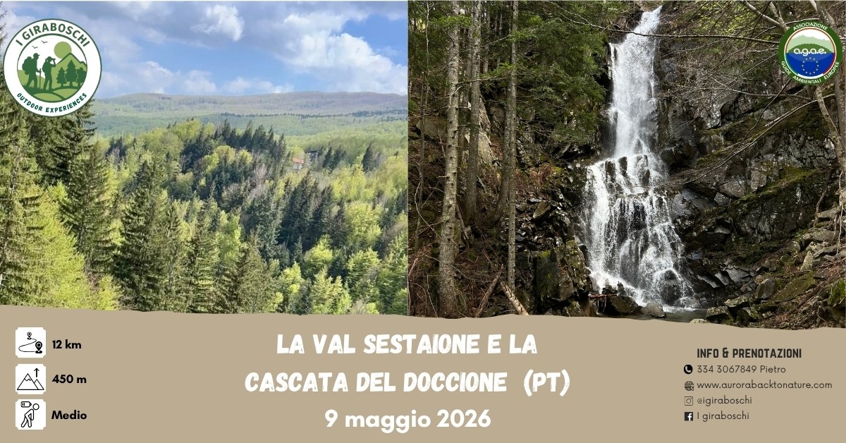 Evento La Val Sestaione e la cascata del doccione (Pt) Locandina La Val Sestaione e la cascata del doccione (Pt) - sabato 9 maggio ore 10:00 - 12:00