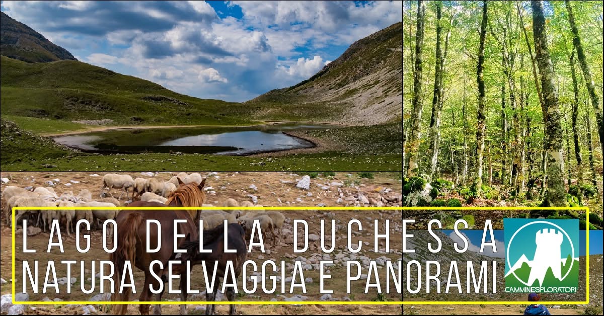 Evento Lago della Duchessa Natura Selvaggia e Panorami Locandina Lago della Duchessa Natura Selvaggia e Panorami - mercoledì 9 settembre ore 09:00 - 11:00