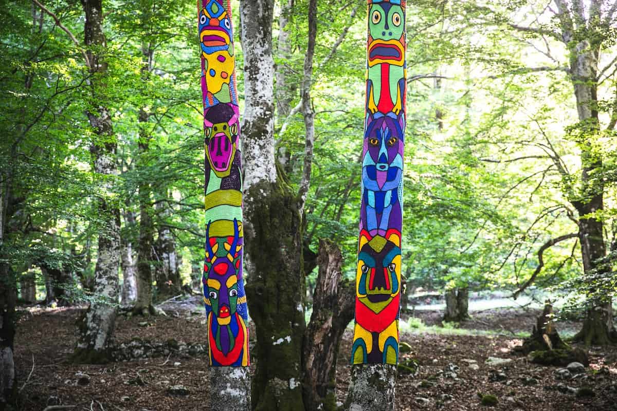 Le foreste vetuste, l’orso e le Mainarde Molisane Potrebbe essere un'immagine raffigurante macramè e testo