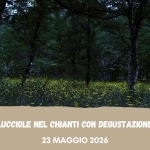 Lucciole nel Chianti con Degustazione (Fi) Lucciole nel Chianti con Degustazione (Fi) a San Casciano in Val di Pesa (FI) il 23 maggio 2026