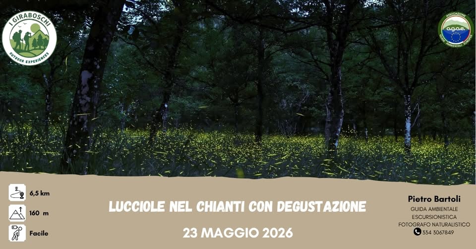 Evento Lucciole nel Chianti con Degustazione (Fi) Locandina Lucciole nel Chianti con Degustazione (Fi) - sabato 23 maggio ore 17:45 - 23:30