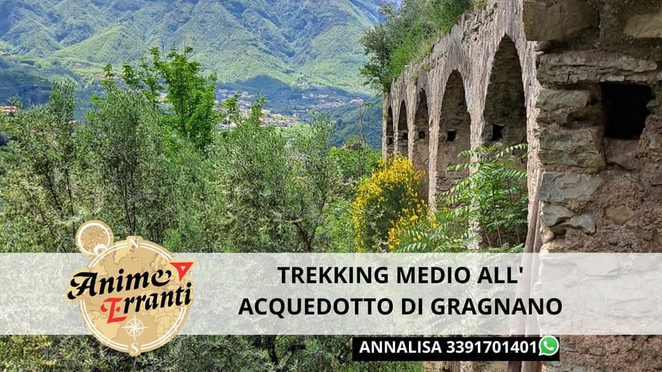 MEDIO 🌎 Acquedotto Medioevale e Grotta dei Tedeschi ⛰️ Potrebbe essere un'immagine raffigurante il seguente testo "Anime Animo Trranti TREKKING MEDIO ALL' ACQUEDOTTO DI GRAGNANO ANNALISA 3391701401"