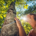 Mindfulness in natura- vivi il momento Mindfulness in natura – vivi il momento a Vigolo Vattaro (TN) il 10 agosto 2026