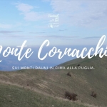 Monte Cornacchia: Monti Dauni | in cima alla Puglia Monte Cornacchia Monti Dauni in cima alla Puglia a Biccari (FG) il 9 maggio 2026