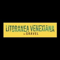 Foto di LItoranea Venexiana in Gravel