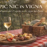Pic Nic del 25 Aprile tra le Vigne Pic Nic del 25 Aprile tra le Vigne a Rovigo (RO) il 25 aprile 2026
