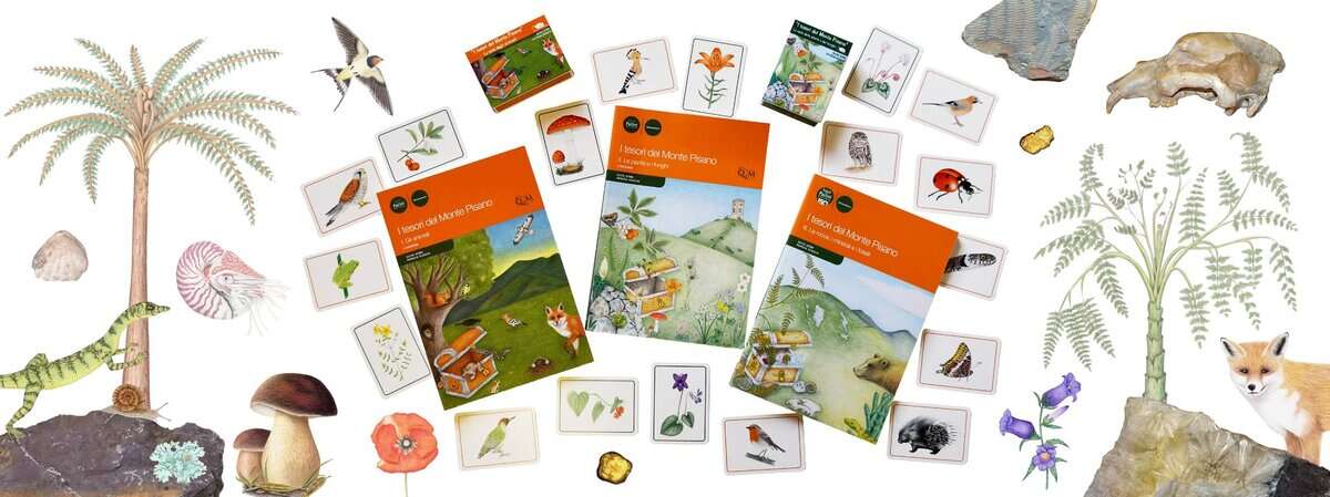 Potrebbe essere un disegno raffigurante testo