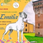 Raduno Interclub – Società Italiana Alani Potrebbe essere un'immagine raffigurante il seguente testo "PRO PROOCO OEA Dnale FealeFmila Ewihia ก่ลารร้ก 26 APRILE 2026 Raduno Interclub Campionato sociale Finale Emíla Giudici: Lisbeth Mach- Mach-Milan Krinke Inizio Giudizi ore 09.30 c/o Seminario di Finale Milia Via Seminario 41034 Finale Emilia (MO) Farmina Foods Pappy กันอุดจ tte"