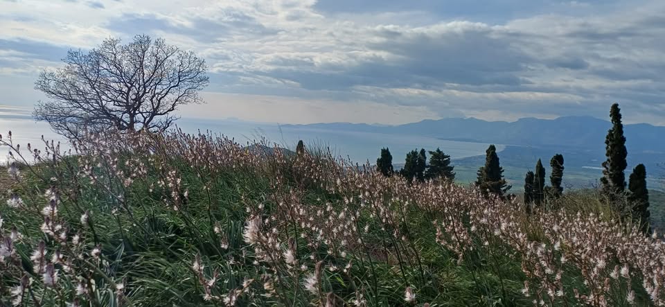 Evento Sentiero Degli Dei Casertano Mondragone(Ce) Locandina Sentiero Degli Dei Casertano Mondragone(Ce) - sabato 12 settembre ore 15:30 - 17:30