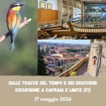 Sulle tracce del tempo e dei gruccioni: escursione a Capraia e Limite (Fi) Sulle tracce del tempo e dei gruccioni escursione a Capraia e Limite (Fi) a Capraia Fiorentina (FI) il 17 maggio 2026
