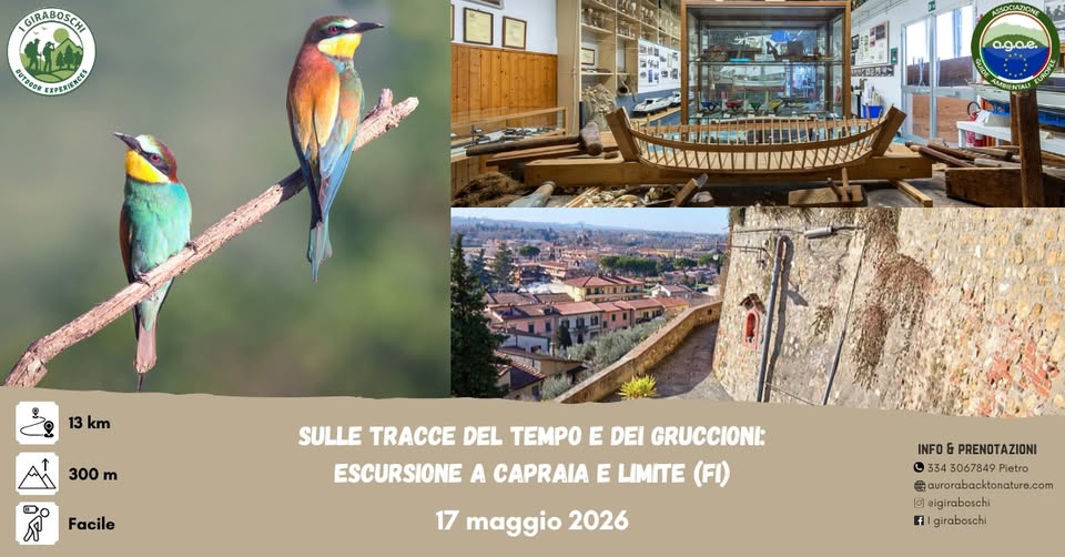 Evento Sulle tracce del tempo e dei gruccioni escursione a Capraia e Limite (Fi) Locandina Sulle tracce del tempo e dei gruccioni escursione a Capraia e Limite (Fi) - domenica 17 maggio ore 09:20 - 17:00