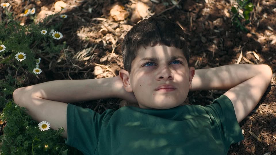 Potrebbe essere un'immagine raffigurante bambino e erba
