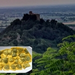 Tortelli tra Matilde e la rugiada Tortelli tra Matilde e la rugiada a Quattro Castella il 23 giugno 2026