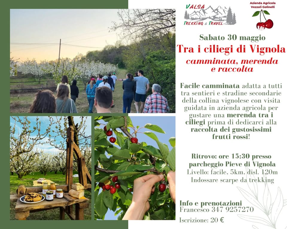 Evento TRA I CILIEGI DI VIGNOLA camminata, merenda e raccolta Locandina TRA I CILIEGI DI VIGNOLA camminata, merenda e raccolta - sabato 30 maggio ore 15:30 - 17:30
