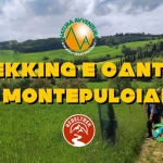 TREKKING E CANTINE A MONTEPULCIANO Trekking E Cantine A Montepulciano a Montepulciano (SI) il 3 ottobre - 4 ottobre 2026