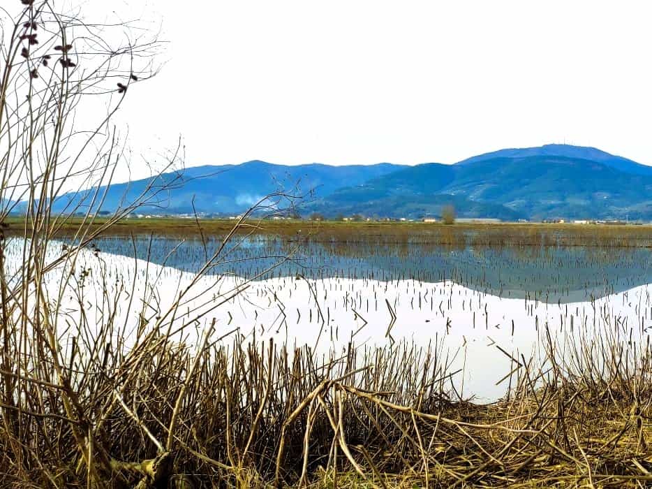 Trekking – Pasquetta a Santa Maria a Monte, alla festa fiorita delle Paniere Potrebbe essere un'immagine raffigurante lago