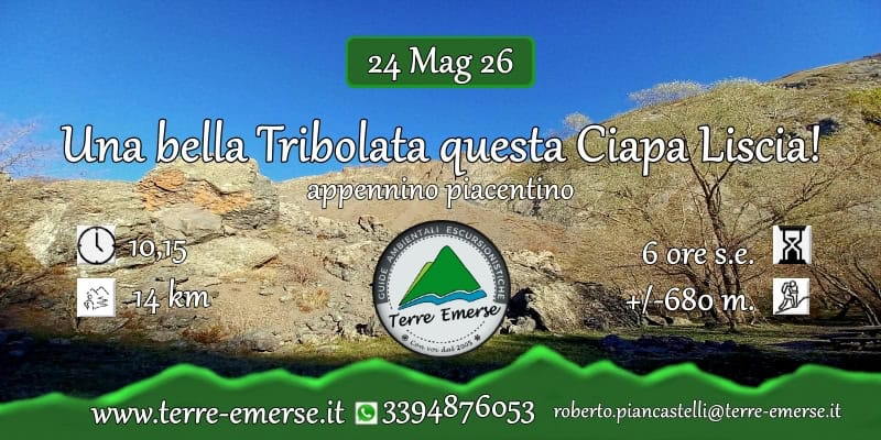 Potrebbe essere un'immagine raffigurante ‎mappa, Saqsaywaman e ‎il seguente testo "‎24 Mag 26 Una bella Tribolata questa Ciapa Liscia! appennino piacentino 010,15 O 10,15 בו 14km 14 km TerreEmerse Terre Emerse c CC........*" hoy 2003 6 ores.e. 6orese.8 s.e. 지 ore +/-680m. 強 /-680 m. www.terre-emerse.it 3394876053 roberto.piancasteli@tere-emerse.it‎"‎‎
