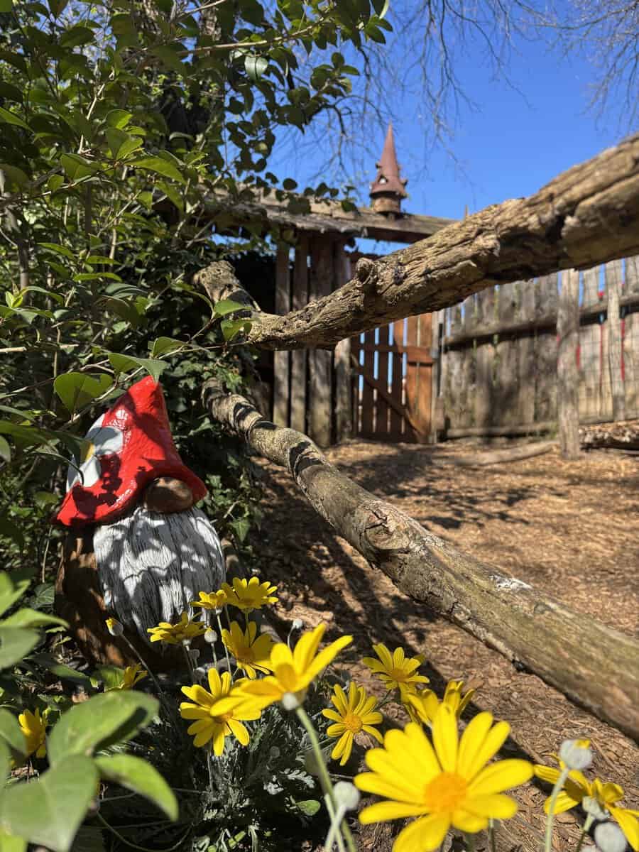 Una magica avventura nel bosco degli Gnomi Nessuna descrizione della foto disponibile.