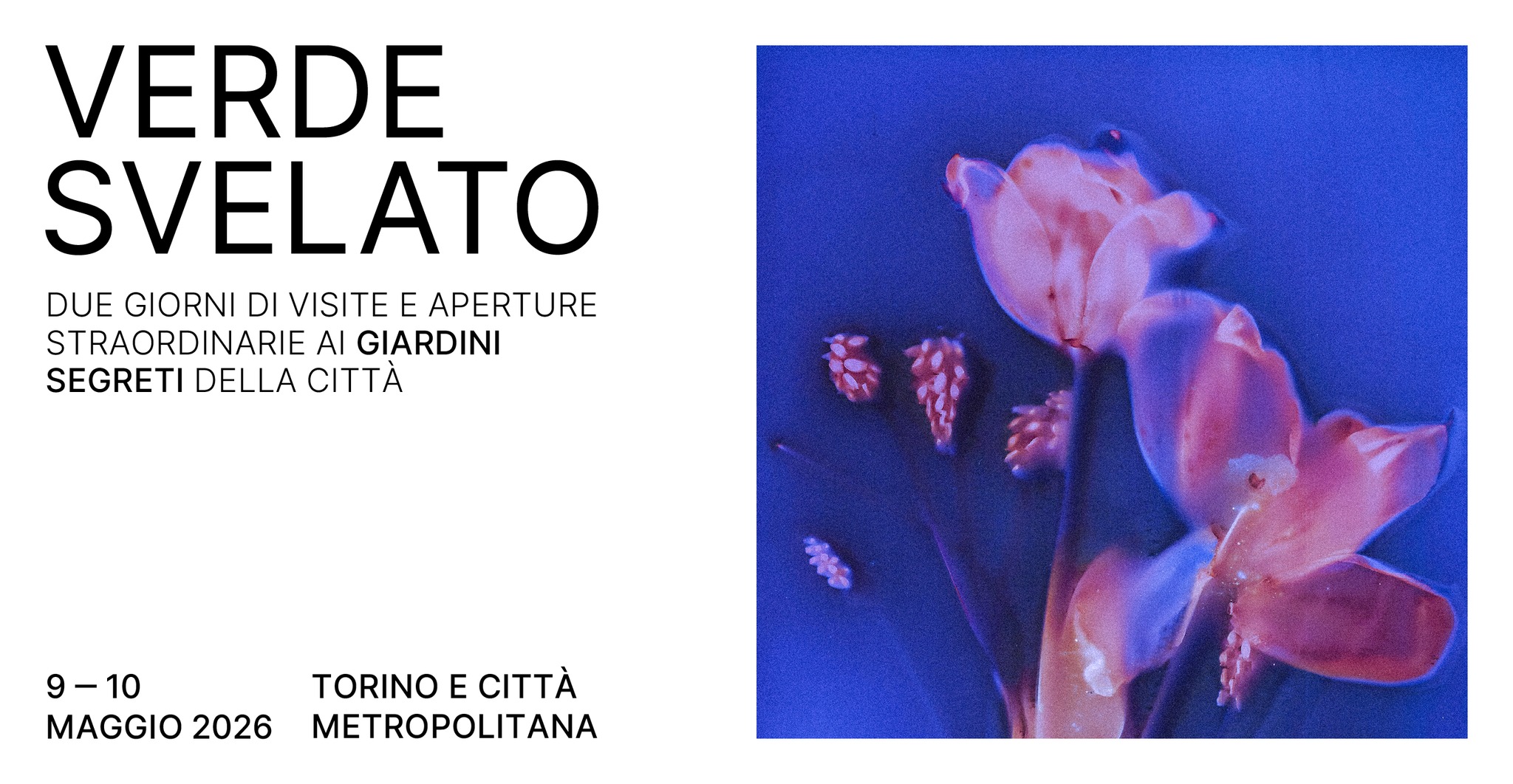 Evento Verde Svelato – 9 – 10 maggio – Festival del Verde Locandina Verde Svelato – 9 – 10 maggio – Festival del Verde - da sabato 9 maggio - domenica 10 maggio 2026 ore 10:00 ore 18:00