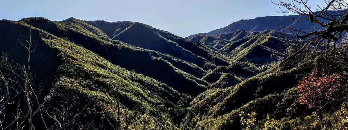 WE Slow Trek: Forest Bathing nelle Foreste Casentinesi Potrebbe essere un'immagine raffigurante montagna