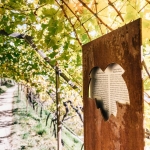 Weinlehrpfad mit Kellerbesichtigung und Weinverkostung beim Weingut Schloss Plars Weinlehrpfad mit Kellerbesichtigung und Weinverkostung beim Weingut Schloss Plars a Velloi (BZ) il 7 aprile aprile - 27 ottobre 2026