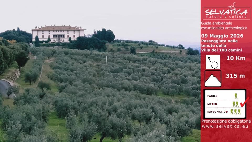 Potrebbe essere un'immagine raffigurante il seguente testo "SELVATICA naturaecultura cultura natura Guida ambientale escursionista archeologica 09 Maggio 2026 Passeggiata nelle tenute della Villa dei 100 camini 10 Km 315 m FACILE MEDIO .............. 大大 IMPEGNATIVO 天天犬 Prenotazione obbligatoria w .selvatica.eu"