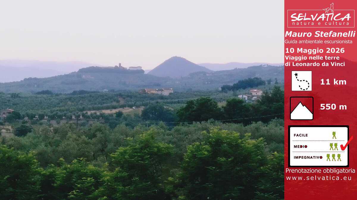 10 Maggio 2026 – Viaggio nelle terre di Leonardo da Vinci – Vinci(FI) Potrebbe essere un'immagine raffigurante montagna e il seguente testo "SELVATICA natura cultura Mauro Stefanelli Guida ambientale escursionista 10 Maggio 2026 Viaggio nelle terre di Leonardo da Vinci 11 km 550 m FACILE MEDIO እአ IMPEGNATIVO 大发发 Prenotazione Prenotazioneobbligatoria obbligatoria w ww.selvatica.eu"