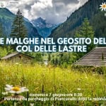 A Piancavallo escursione LE MALGHE NEL GEOSITO DEL COL DELLE LASTRE Potrebbe essere un'immagine raffigurante il seguente testo "ة SONO FRIULI VENEZI QIULIA Piancavallo นม AAHO មតាត្ YEN cecKBemTHИИR 대른 Piancarallo Estate2026 Estate 2026 LE MALGHE NEL GEOSITO DEL COL DELLE LASTRE domenica 7 giugno-ore ore 8:30 Partenza da parcheggio di Piancavallo dopo la rotónda"