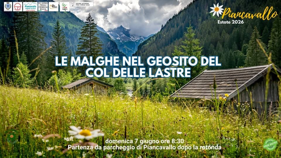 Evento A Piancavallo Escursione Le Malghe Nel Geosito Del Col Delle Lastre Locandina A Piancavallo Escursione Le Malghe Nel Geosito Del Col Delle Lastre - domenica 7 giugno ore 08:30 - 10:30