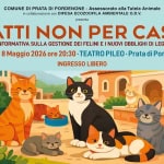 A Prata di Pordenone serata informativa GATTI NON PER CASO Potrebbe essere un disegno raffigurante il seguente testo "HHC COMUNE DI PRATA DI PORDENONE Assessorato alla Tutela Animale in collaborazione con DIFESA ECOZOOFILA AMBIENTALE O.D.V. presenta GATTI NON PER CASO SERATA INFORMATIVA SULLA GESTIONE GESTIONE DEI FELINI E NUOVI OBBLIGHI DI LEGGE IN FVG Venerdi Venerdì 8 Maggio 2026 ore 20:30 TEATRO PILEO Prata di Pordenone INGRESSO LIBERO"